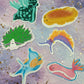 Sea Slugs Collection- Full Collection